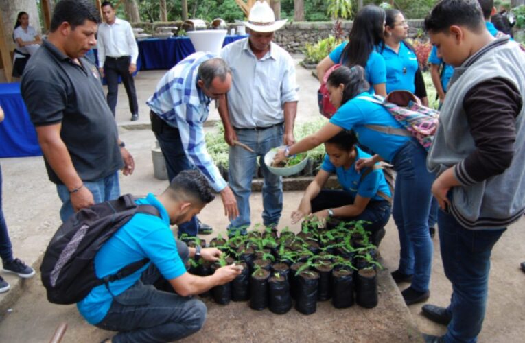 Schucry Kafie y su liderazgo empresarial por la reforestación en Honduras